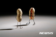 일광욕 감자칩·배짼 땅콩 ㅋㅋ···테리 보더 벤트아트