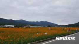 울산 대표 한우불고기축제, 봉계 일원에서 개막