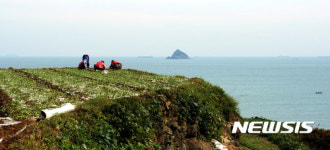 겨울을 준비하는 남해 다랭이마을
