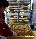 홍삼 만들어요 진안 홍삼축제 바쁜 손길