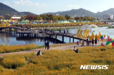 장성 황룡강 노란꽃잔치 구경하는 관광객