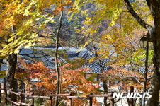가을 단풍에 젖어드는 가야산국립공원