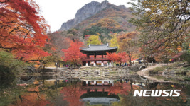 아기단풍 물든 백학봉과 쌍계루
