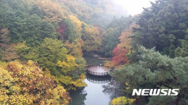 부산어린이대공원 편백나무숲, ‘아름다운 숲 공존상’ 수상