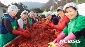 사랑의 김치를 담그는 새마을 부녀회원들
