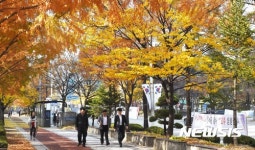 단풍나무 사이로 길 걷는 시민들