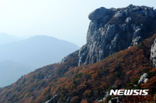 남해금산의 불타는 단풍