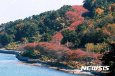 가을이 찾아온 남해 설천면
