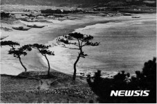 부산 시립박물관, ‘부산, 관광 시작’ 특별사진전 개최