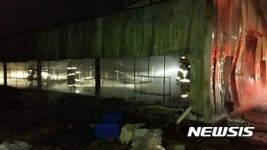 평택 귀뚜라미 농장서 불…귀뚜라미 2억마리 떼죽음