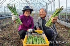 양구 아스파라거스 농림축산식품부 장관상