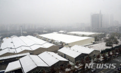 눈으로 뒤덮인 전주 효자동