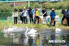 AI를 막아라…안동 백조공원, 관람객 출입통제