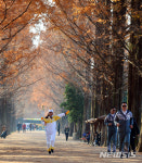 평창성화 담양 메타세쿼이아길 봉송