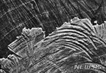 단국대학교 평생교육원, 사진예술연구 14기 흐름안의 멈춤 5인의 시각전