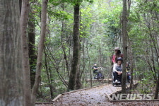 제주 서귀포 치유의 숲 ‘노고록 무장애 나눔길’ 조성