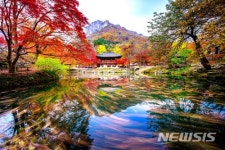 국립공원사진공모전 일반부문 장려상 백양사 쌍계루의 추경