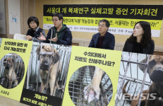 서울대서 개 연구가 어떻게 진행되냐면...