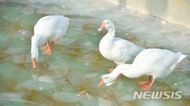 한파에 대구 달성공원 열대동물들 힘겨운 겨울나기
