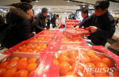 대봉감 농민들을 위한 직거래장터 활활