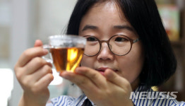 [최현호의 스타트UP]석보영 푸르메다 대표 2020년엔 차가 커피 잡을 것