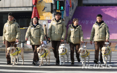 안내견, 횡단보도도 문제없어요