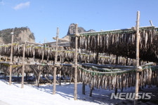 바람의 명작 인제 황태마을