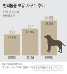 [개와 당신]반려견 전성시대…아낌없이 주는 사람들