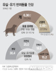 [개와 당신]유기견 전락해 안락사…쉽게 사니 쉽게 버려