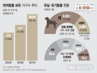 [개와 당신] [그래픽]주인 잃은 반려동물 연간 9만마리