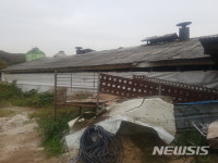 답 없는 용인 포곡 축사 냄새…악취관리지역 지정 추진