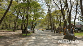 [진안소식]군, 전통마을 숲 복원사업 추진 등