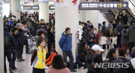제주공항 411편 中 결항146, 지연 86, 회항 13편