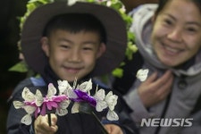 에버랜드 미리봄 나비정원 선보여…나비 7000마리 관찰