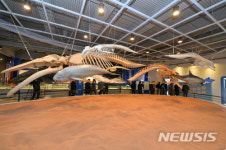 새롭게 단장한 고래박물관