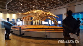[울산소식]남구, 고래박물관 리모델링 마치고 재개관 등