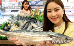 등푸른생선 먹고 건강도 챙겨요