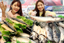 롯데마트, 등푸른생선 먹고, 건강도 챙겨요