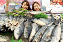 롯데마트, 등푸른생선 저렴하게 판매