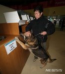 평창선수촌 식당도 안전검측