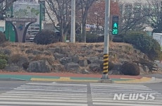 옥천읍사무소 앞 보행자 신호 잔여시간표시기 