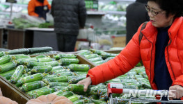 초강력 한파에 채솟값 급등