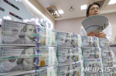 원달러 환율 고공 상승, 1100원 선 눈 앞