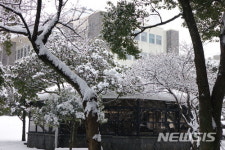 제주, 눈 쌓인 공원 속 쉼터 