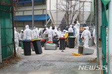 아산시, 천안 AI신고 역학관계 농장 살처분