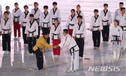 태권도 시범단 · 식전 공개 행사