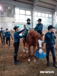 춘천공공승마장 시민 여가 체험시설 활성화