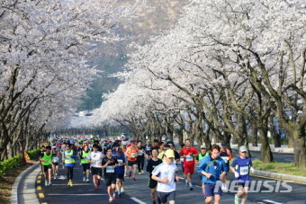 경주시, 오는 4월7일 경주벚꽃마라톤대회 개최