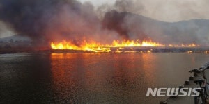 건조한 날씨에 대구 금호강변서 화재...진화 중