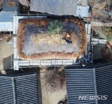 억새로 초가지붕 이엉잇기